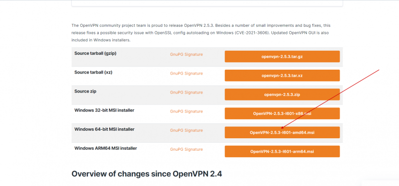 OpenVPNdownload.png