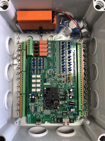 Файл:Kunip8 2020.jpg