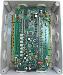 2 КУН2Д1 cor.JPG